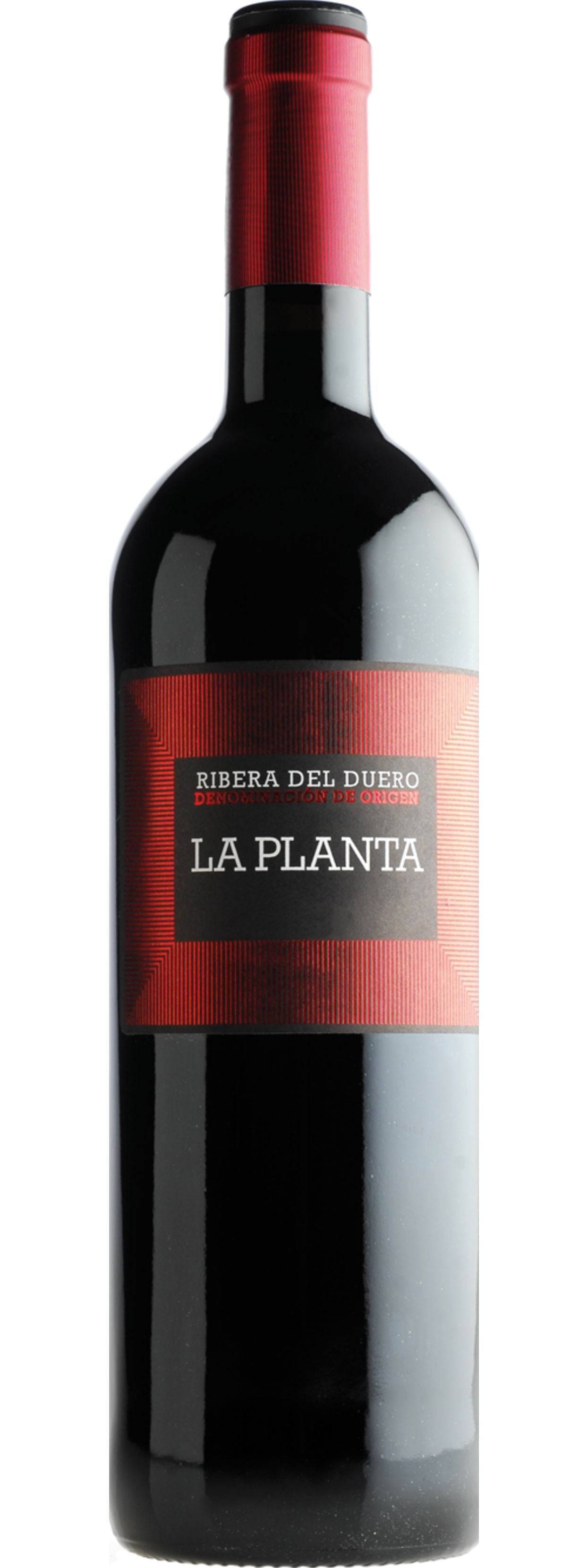 La Planta, Arzuaga, Ribera del Duero Red Bodegas Arzuaga Navarro